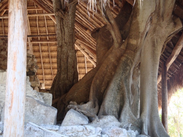 Cozumel, Mexico