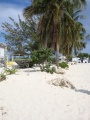 Grand Cayman